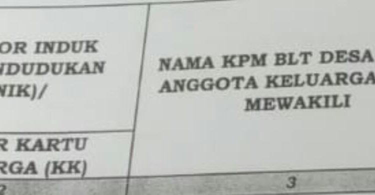 Dok Anam klikku.net ist.