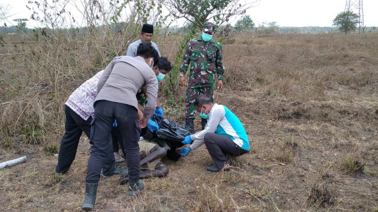Evakuasi mayat oleh aparat dan nakes setempat.

Dok Anam klikku.net.