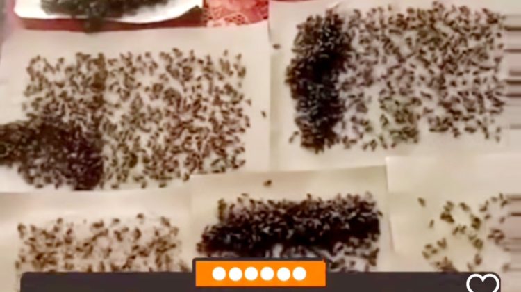 Tangkapan layar sosmed instagram. ist (Anam klikku.id ist)