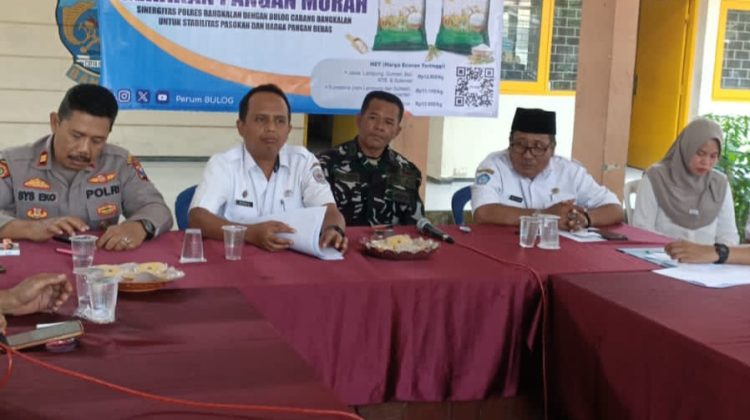 Anam dok klikku.id