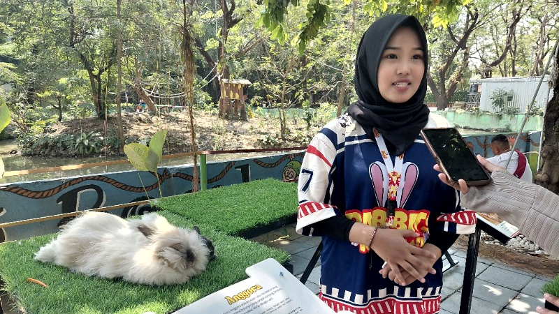 KBS Hadirkan “Rabbit in Wonderland”, Wahana Edukasi dan Rekreasi ...