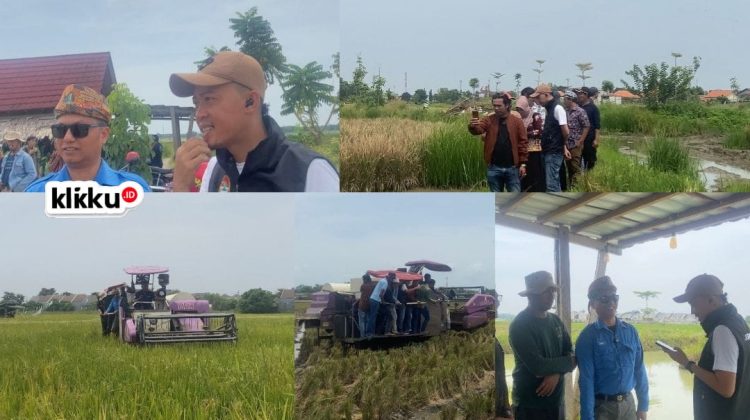klikku.id dok Anam Biro Bangkalan Jawa Timur.
