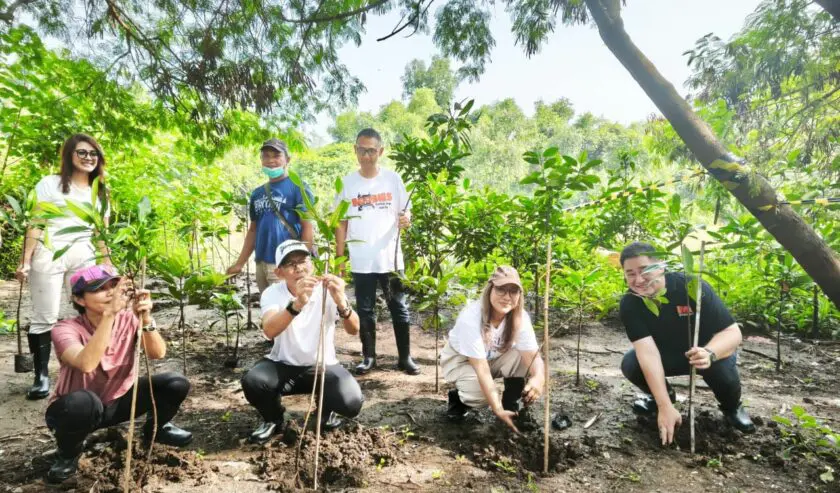 IMA Tanam 1.000 Mangrove Bukti Kepedulian Lingkungan di Surabaya.
