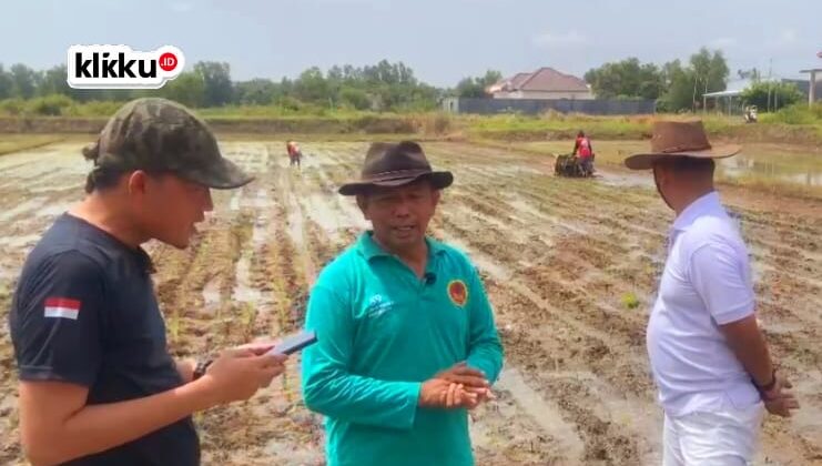 Momen penanaman padi poktan Tonjung Burneh Bangkalan, dok klikku.id Anam Jawa Timur.