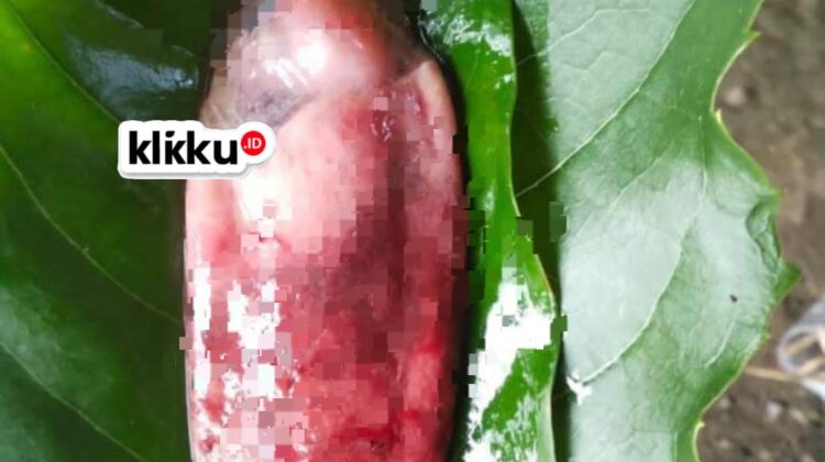 Diduga janin dibuang oknum di Desa Dumajah. Dok ist Anam ka Biro Bangkalan.