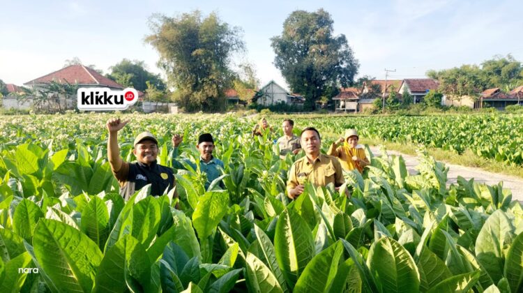 Dok Foto : ist Anam klikku.id