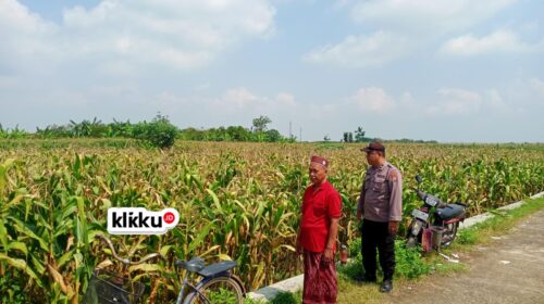 Dok foto Titin Biro klikku.id Jombang.