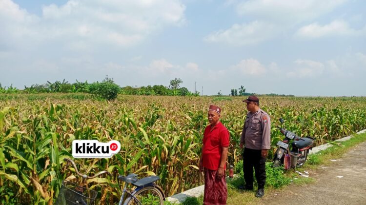 Dok foto Titin Biro klikku.id Jombang.