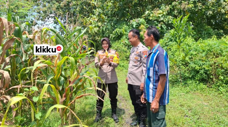 Dok foto Titin klikku.id Jombang.
