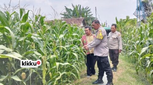 Dok gambar foto KLIKKU.ID Titin Jombang.