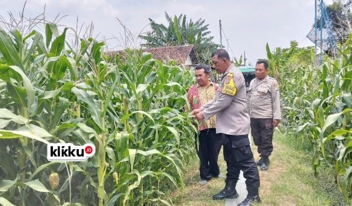 Dok gambar foto KLIKKU.ID Titin Jombang.