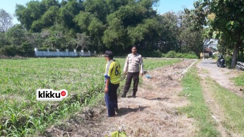Dok foto klikku.id Titin Jombang.