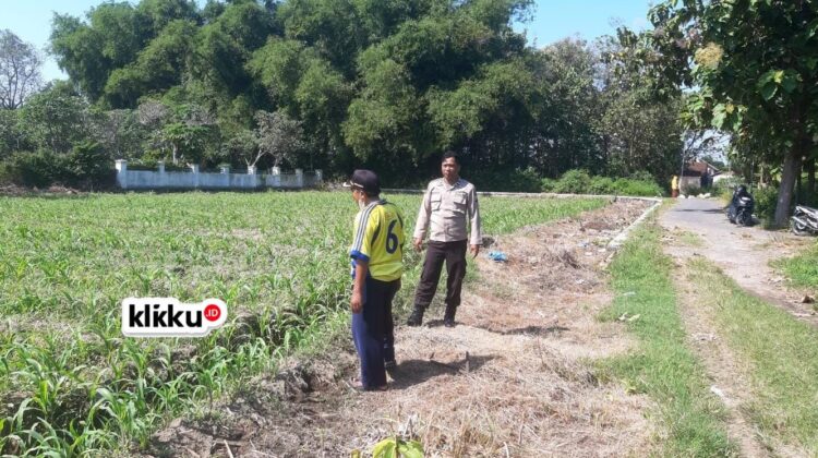 Dok foto klikku.id Titin Jombang.