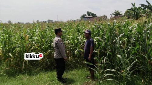 Dok foto KLIKKU.ID Titin Biro Jombang.