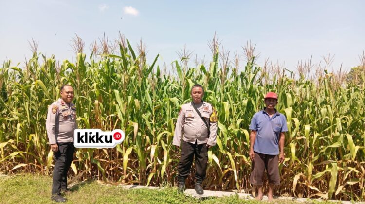 Dok Foto KLIKKU.ID Titin Biro Jombang.