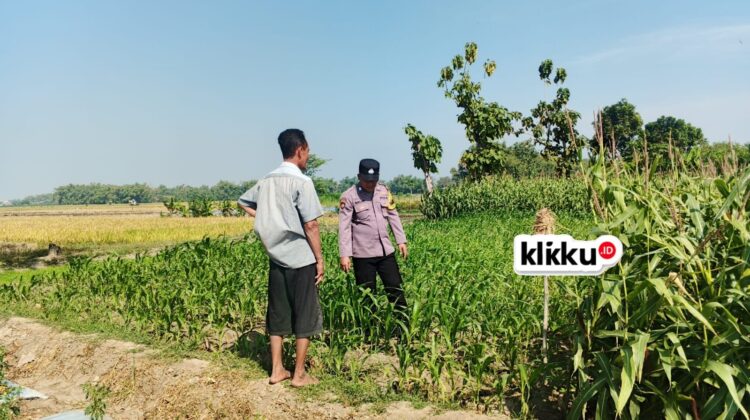 Dok Foto KLIKKU.ID Titin Biro Jombang.