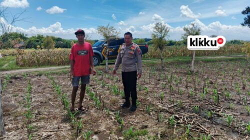 Dok foto KLIKKU.ID Titin Biro Jombang.