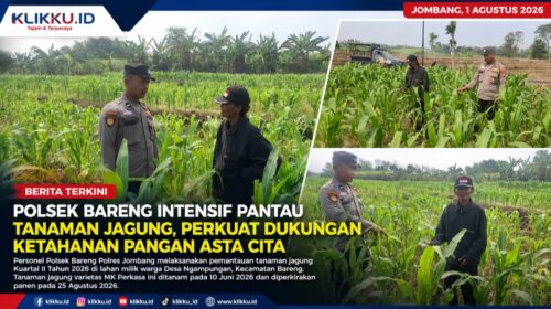 Dok gambar foto KLIKKU.ID Titin Biro Jombang.
