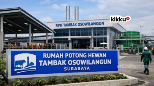 Dok foto