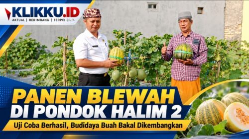 Dok foto Anam ist KLIKKU.ID Bangkalan.