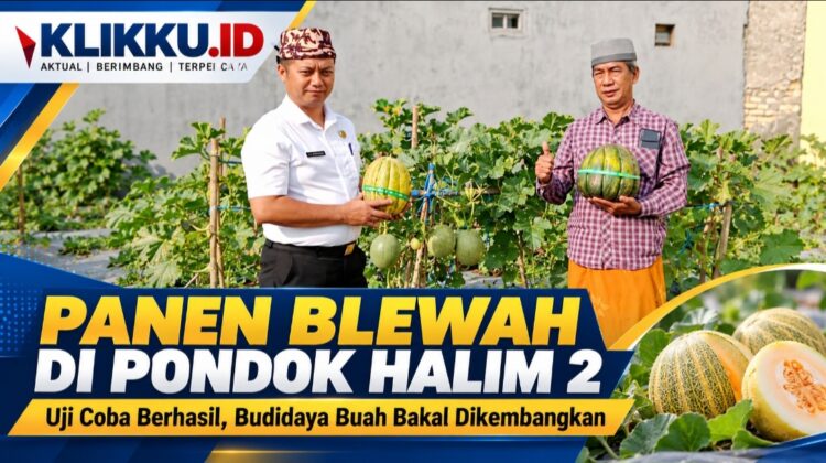 Dok foto Anam ist KLIKKU.ID Bangkalan.