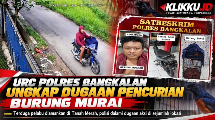 Dok gambar foto ist Anam KLIKKU.ID Biro Bangkalan.