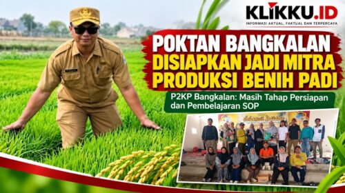 Dok gambar foto KLIKKU.ID Anam Bangkalan.