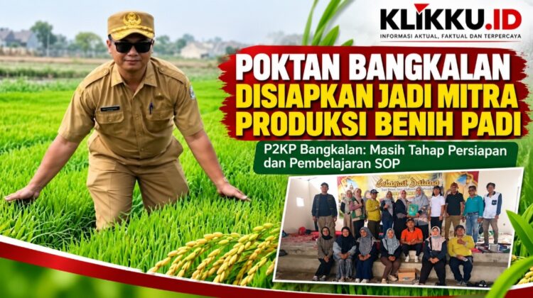 Dok gambar foto KLIKKU.ID Anam Bangkalan.